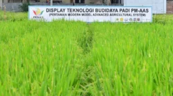 Gelar Teknologi Pertanian H-9 PENAS XVII Terus Dipersiapkan