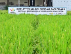 Gelar Teknologi Pertanian H-9 PENAS XVII Terus Dipersiapkan