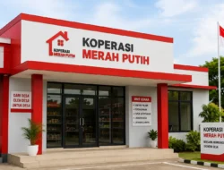 September 2026, Kopdes Merah Putih Mulai Bayar Pinjaman Rp3 Miliar ke Himbara