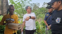 Bupati Thariq Tinjau Budidaya Lebah Trigona “Tahudu”, Tim Patriot Unair Beri Apresiasi