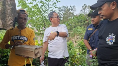 Bupati Thariq Tinjau Budidaya Lebah Trigona “Tahudu”, Tim Patriot Unair Beri Apresiasi