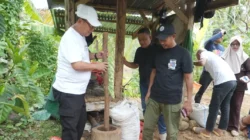 Petani Masih Kupas Manual, Bupati Thariq Akan Siapkan Mesin Baja untuk Kopi Liberika