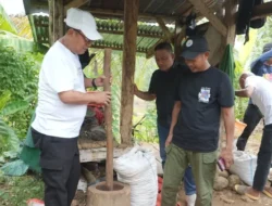 Petani Masih Kupas Manual, Bupati Thariq Akan Siapkan Mesin Baja untuk Kopi Liberika