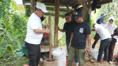 Petani Masih Kupas Manual, Bupati Thariq Akan Siapkan Mesin Baja untuk Kopi Liberika